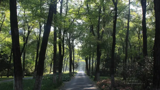 順鑫綠色度假村