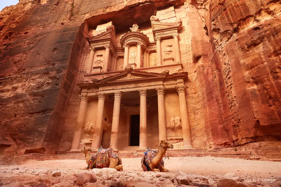 5_The Treasury