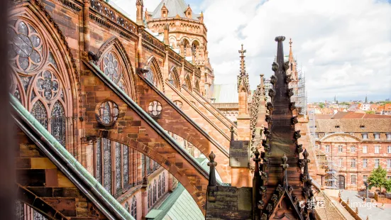 Cathedrale Notre Dame de Strasbourg