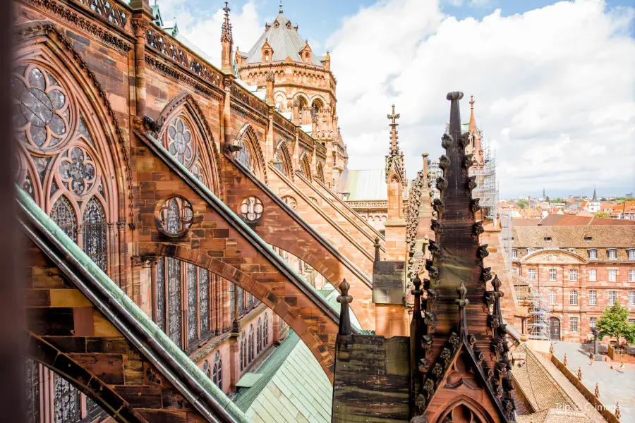 Cattedrale di Strasburgo