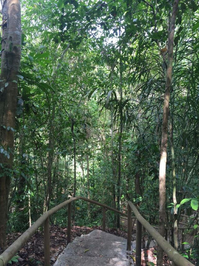 Manuel Antonio National Park