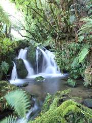 Buried Village of Te Wairoa