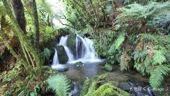 Buried Village of Te Wairoa