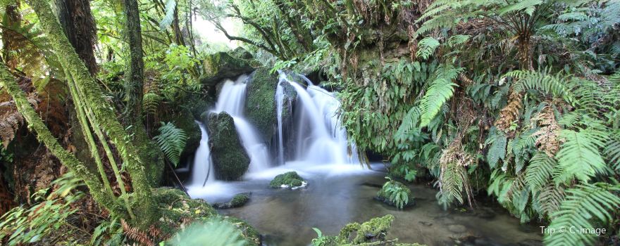 Buried Village of Te Wairoa