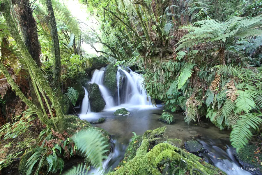 Buried Village of Te Wairoa