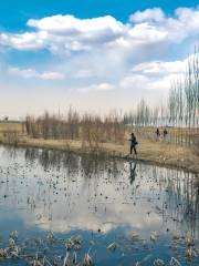 Zhangye National Wetland Park