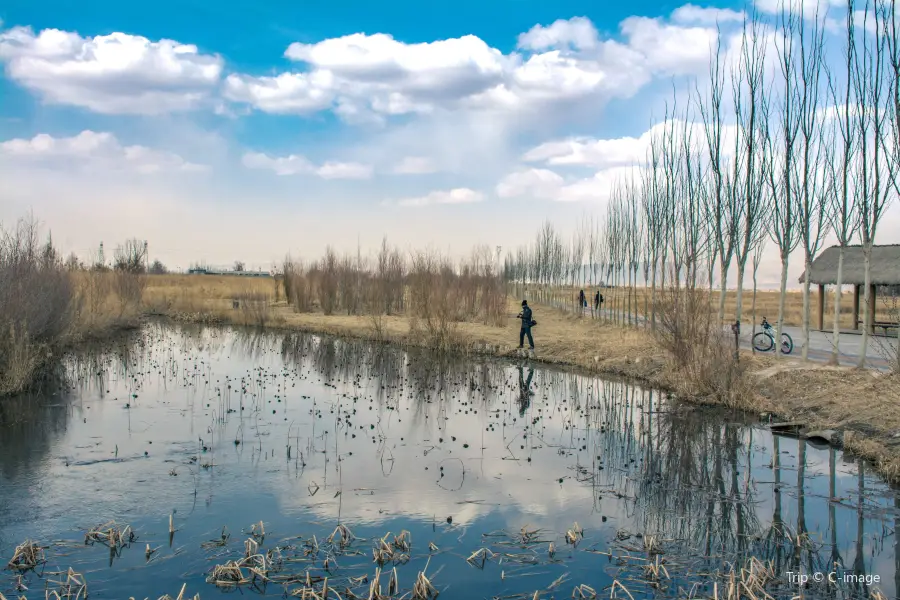 Zhangye National Wetland Park