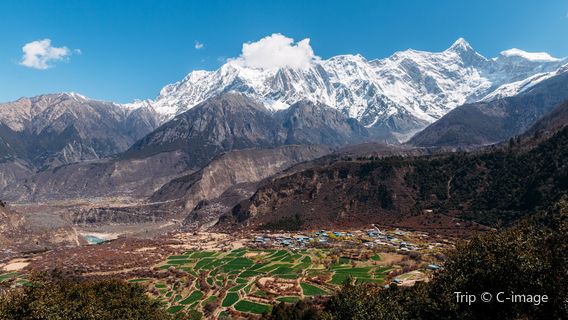 Gala Peach Blossom Village