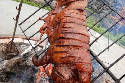 Wolongmoxiangyuanshengtailvyou