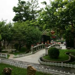 Wei Ding Xuan ảnh của người dùng
