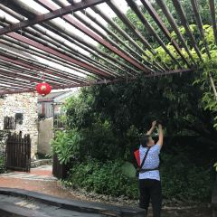 李记海鲜菜馆 User Photo