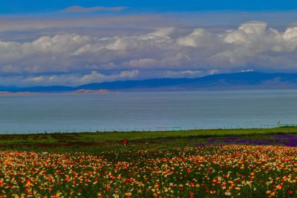 格桑海韵假日饭店(青海湖太阳店)