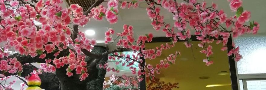 小锅饭豆腐馆(围场店)