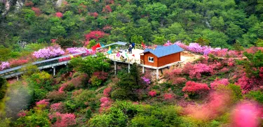 Tianmazhai Scenic Area in Yingshan County