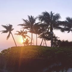 The Westin Blue Bay Resort & Spa· Five Sen5es User Photo