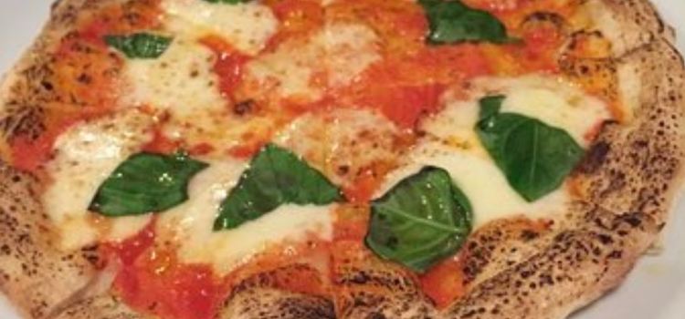Shima Italian En