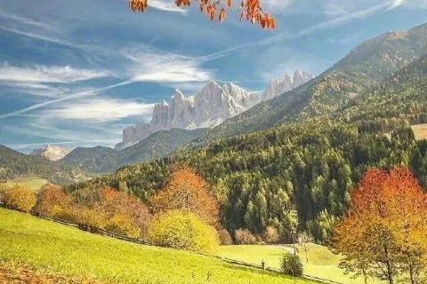 Alpi