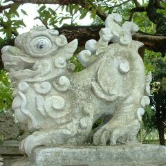 Quan Bia Cau Cang Ca User Photo