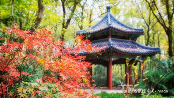 điểm tham quan Lăng Tôn Dật Tiên + Tour tham quan Cung điện Mỹ Linh nửa ngày [Nhận phòng tại Đại lộ Ngô Đồng + Đã bao gồm đặt chỗ + hướng dẫn viên thuyết minh]