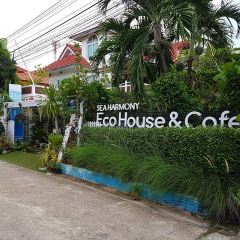 Turtle Bay x Sea Harmony Eco Cafe User Photo