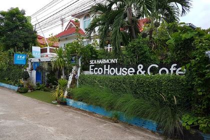 Turtle Bay x Sea Harmony Eco Cafe