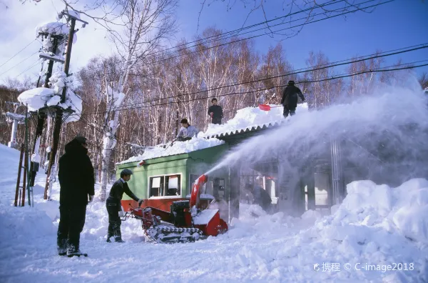 Hotel dekat Open-air Museum of Sapporo Art Forest