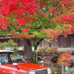 Blue Bottle Coffee(Kiyosumi Shirakawa Roastery & Cafe) User Photo