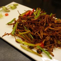Yupusichu (gulangyuyidingyaochidedian) User Photo