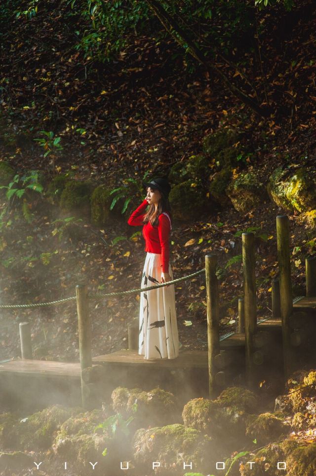 盧瓦爾河畔肖蒙園林區