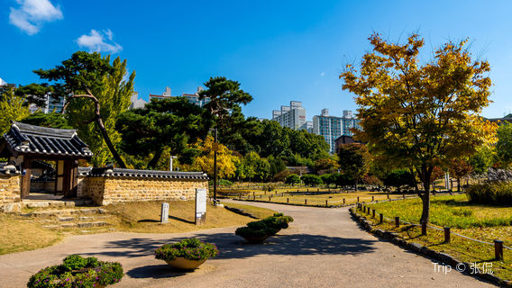 Daejeon