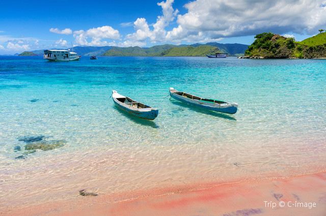 Komodo National Park – A Land that Time Forgot