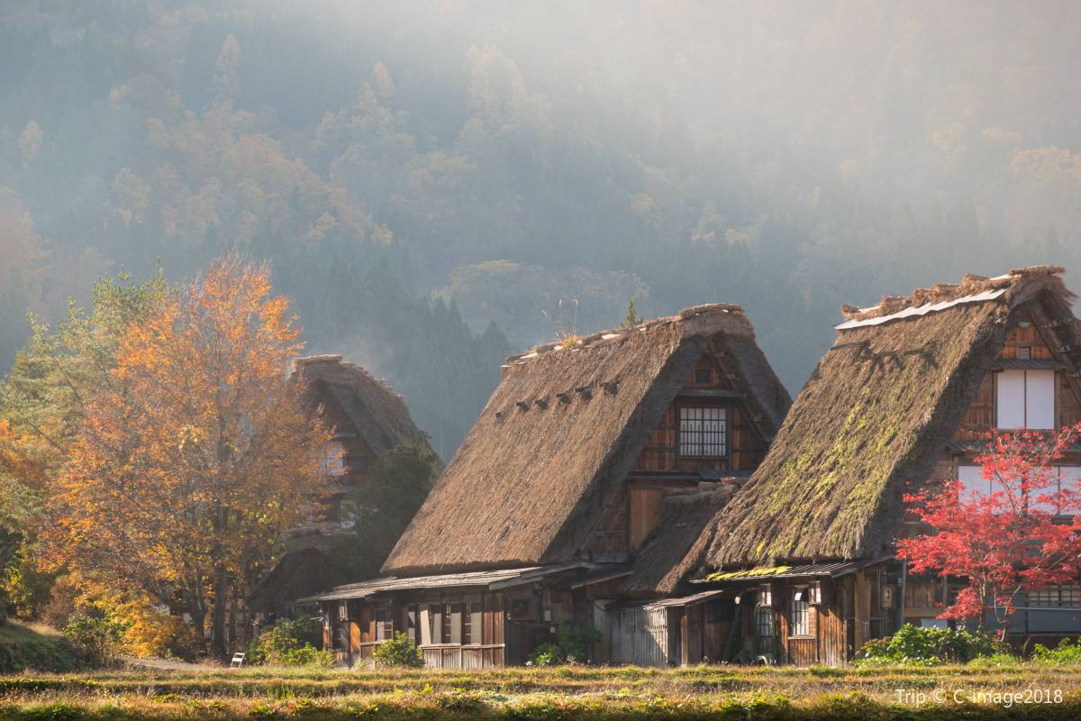 日本紅葉 | 白川鄉合掌村