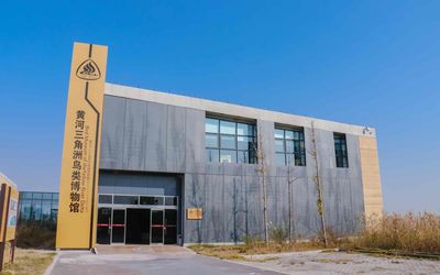 Yellow River Delta Bird Museum