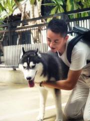 TrueLove @ Neverland (Husky Cafe)