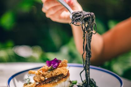 The Grounds of Alexandria