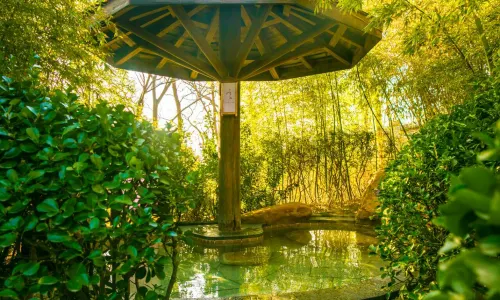 Weihai Hot Springs