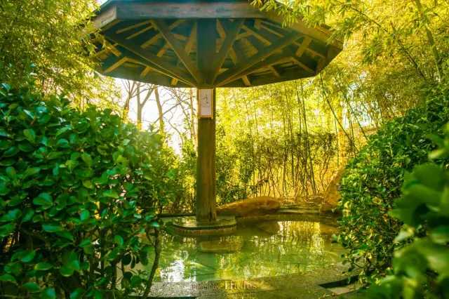 Weihai Hot Springs