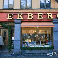Ekberg 여행 사진