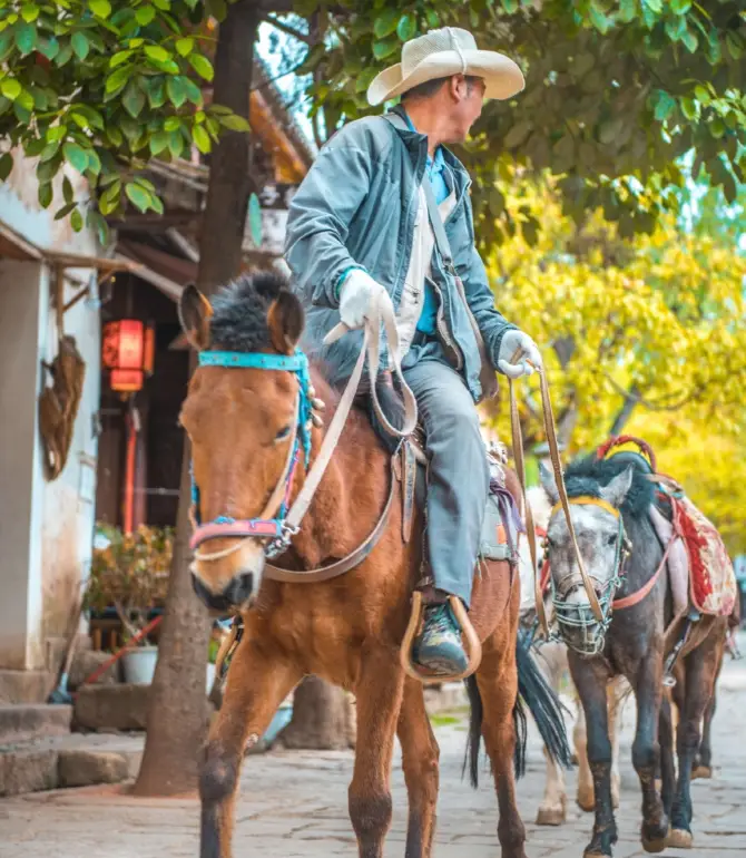 Shaxi Town
