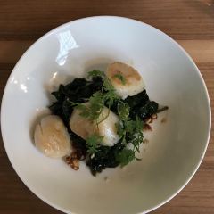 Tiergartenquelle張用戶圖片