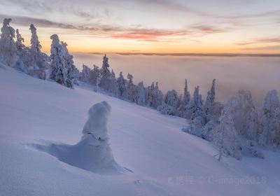 Sodankylä