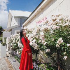 Tarras Country Coffee Shop User Photo
