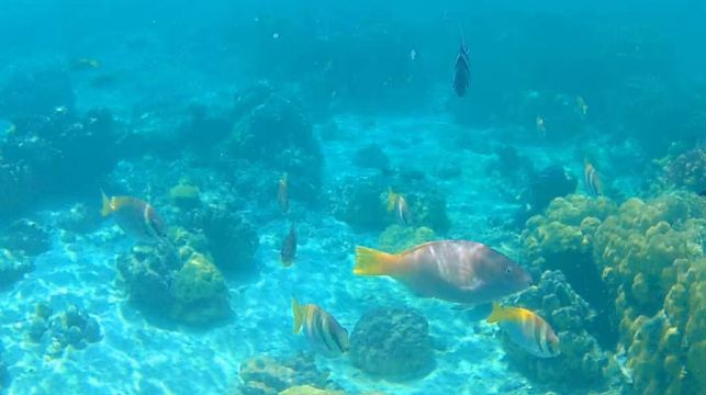 菲律賓科隆超級A線全景遊—冷熱湖&凱央根湖&雙子湖&沉船架