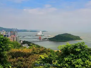 Wild Tiger Island