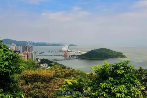 Wild Tiger Island