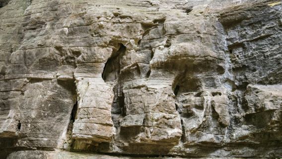 Chongqing's Best Summer Vacation! Day Trip to Wulong Fairy Mountain and Tiankeng Village from Chongqing