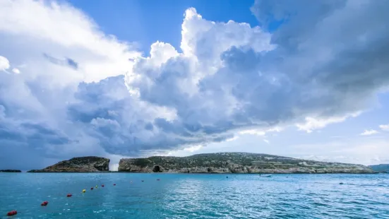 Malta Chamber of Commerce