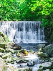 醉山野景區