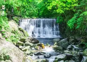 醉山野景區