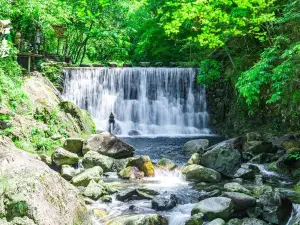 醉山野景區